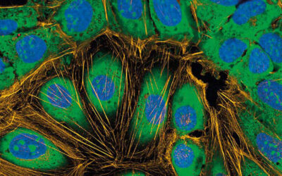 Gdy recenzentem zostaje algorytm